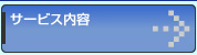 �T�[�r�X���e